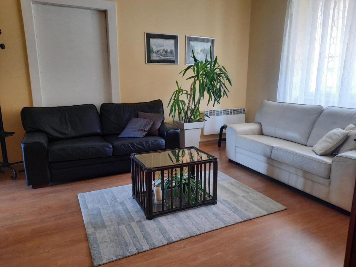 Appartamento Apartman Soda Ogulin Esterno foto